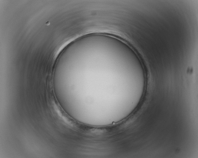 X0000110731513200906121258