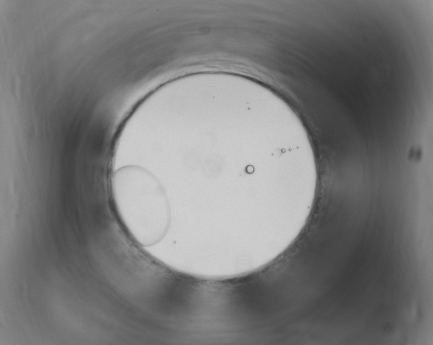 X0000110731514200906121258