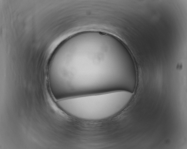 X0000110731515200906121258