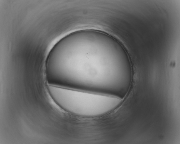 X0000110731516200906121259