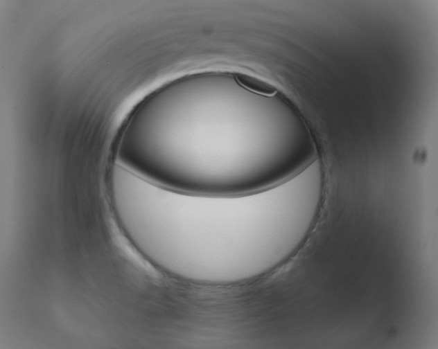 X0000110731518200906121259