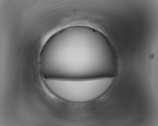 X0000110731519200906121259