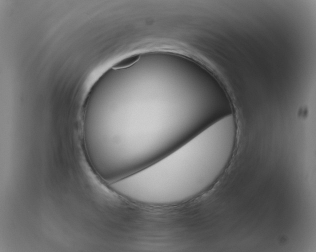 X0000110731520200906121259