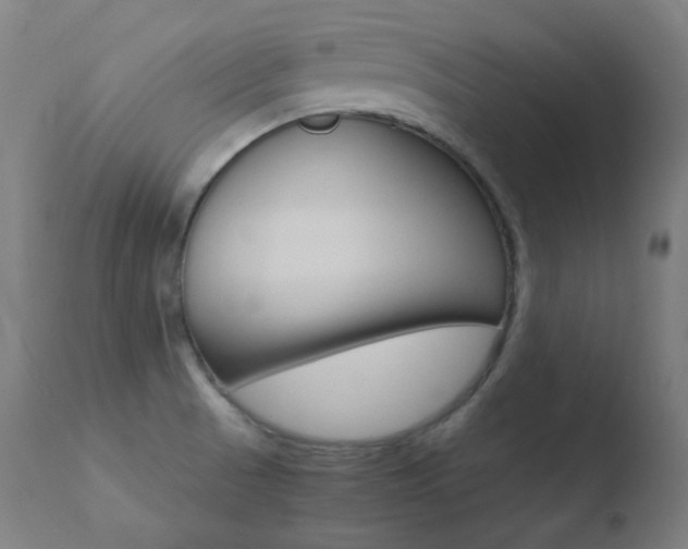 X0000110731521200906121259