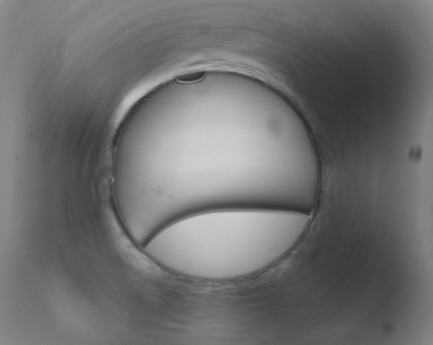 X0000110731522200906121259