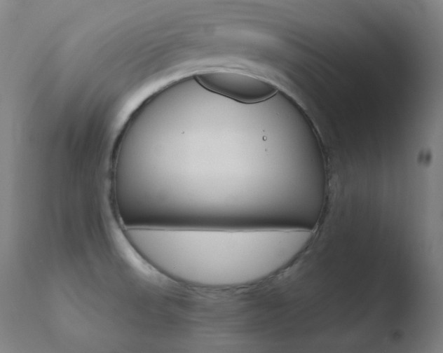 X0000110731523200906121259