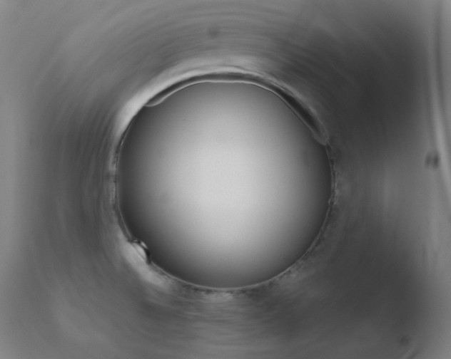 X0000110731524200906121259
