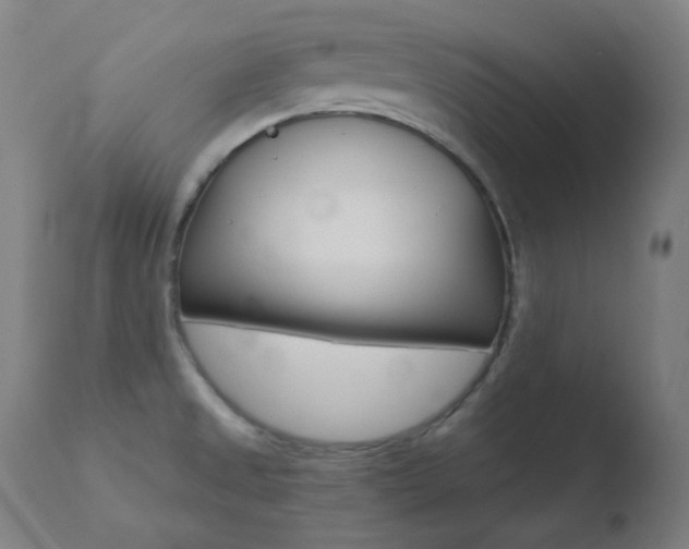 X0000110731525200906121259