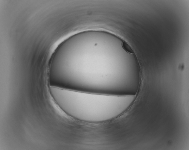 X0000110731526200906121259