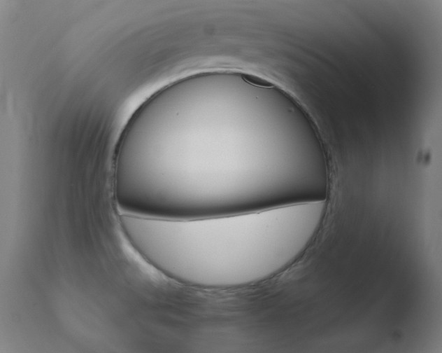 X0000110731527200906121259