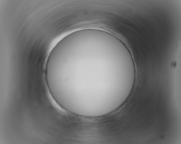 X0000110731528200906121259