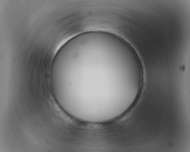 X0000110731529200906121259