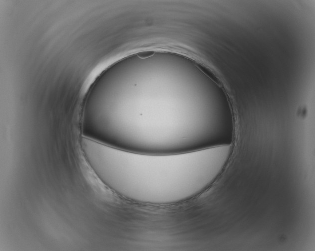X0000110731530200906121259