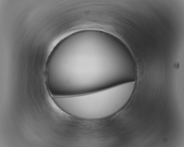 X0000110731531200906121259