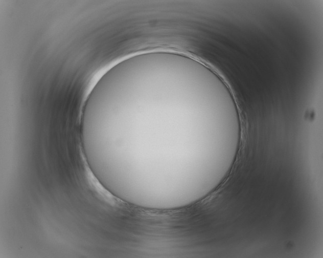 X0000110731532200906121259