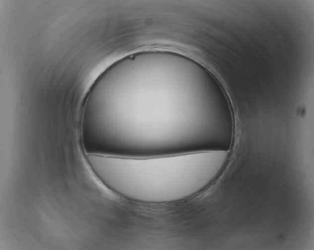 X0000110731533200906121259