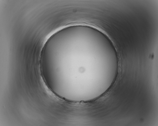 X0000110731534200906121259