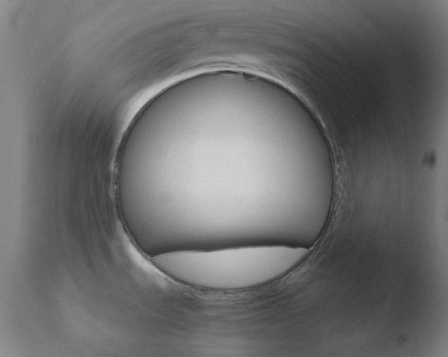 X0000110731535200906121259