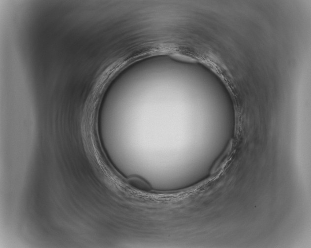 X0000110730001200906121458