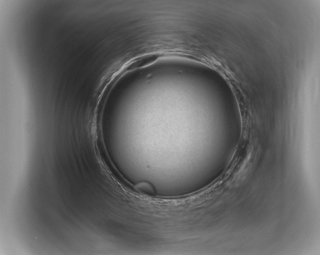 X0000110730002200906121458