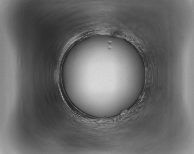 X0000110730003200906121458