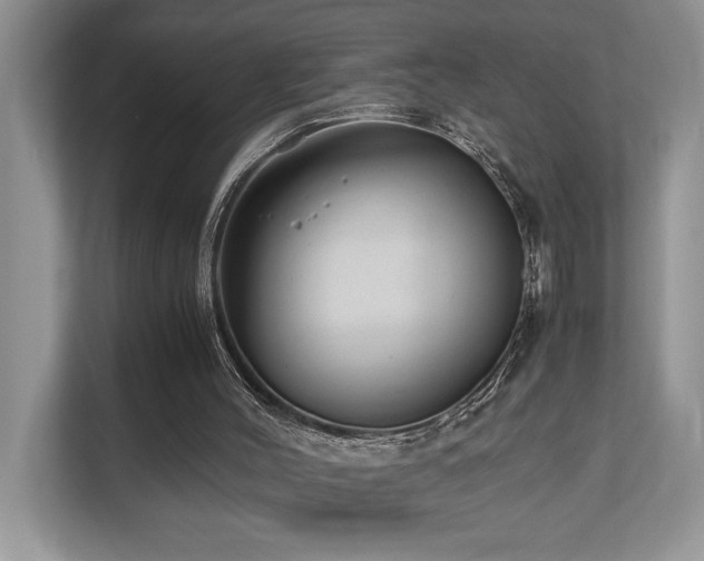 X0000110730004200906121458