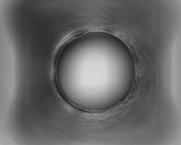 X0000110730005200906121457