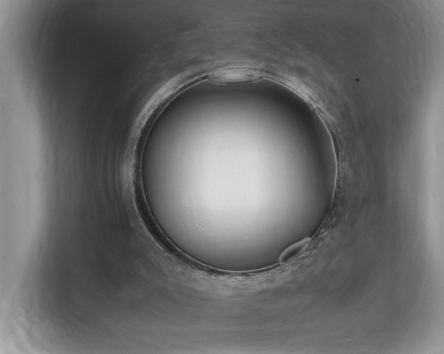 X0000110730007200906121457
