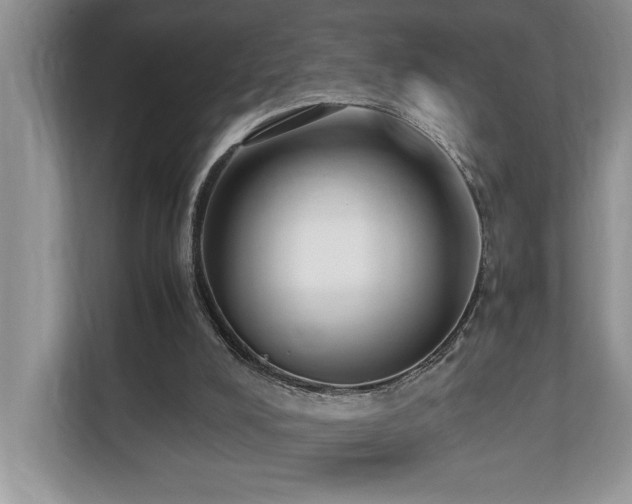 X0000110730008200906121457