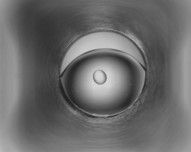 X0000110730009200906121457