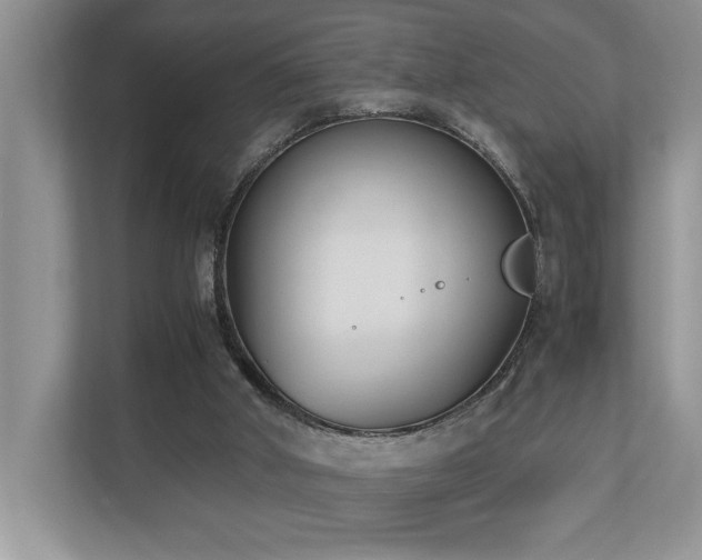 X0000110730010200906121457