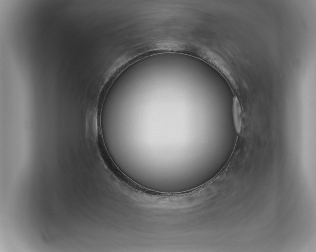 X0000110730011200906121457