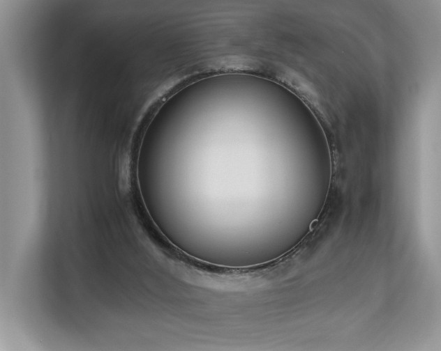 X0000110730012200906121457