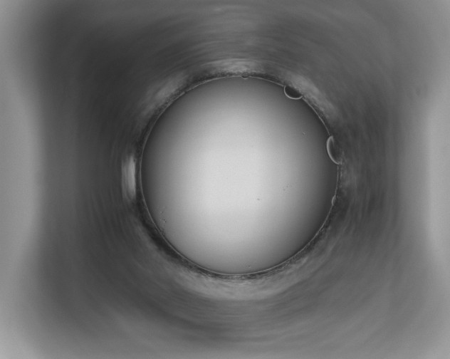 X0000110730014200906121457