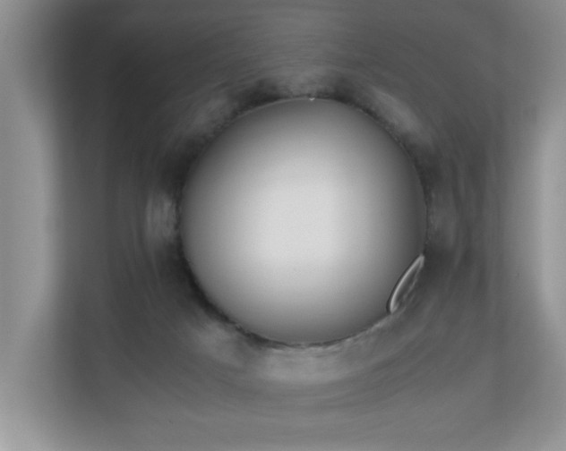 X0000110730025200906121457