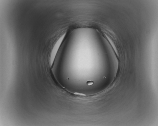X0000110730029200906121457