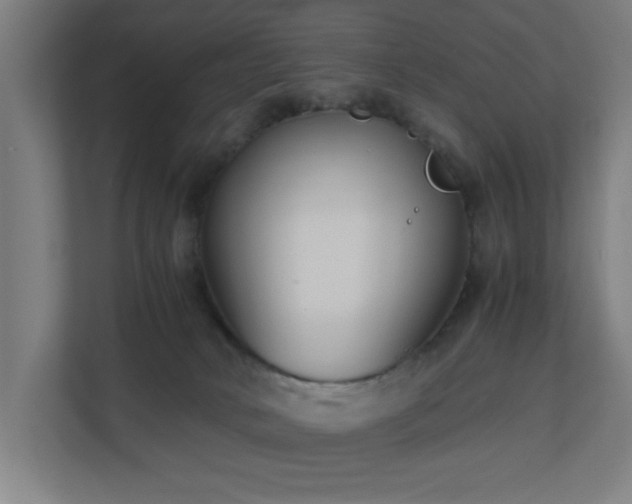X0000110730034200906121457