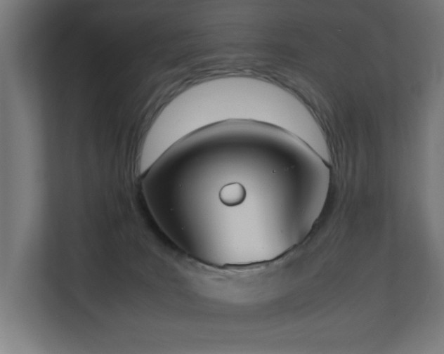 X0000110730035200906121457