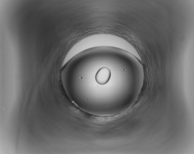 X0000110730037200906121457