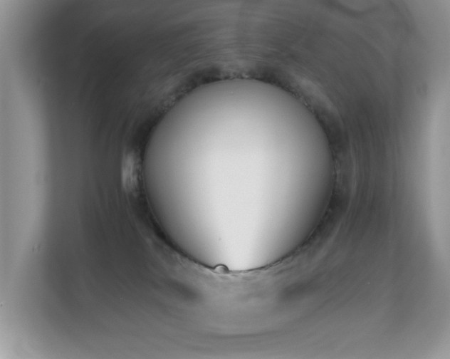 X0000110730038200906121457