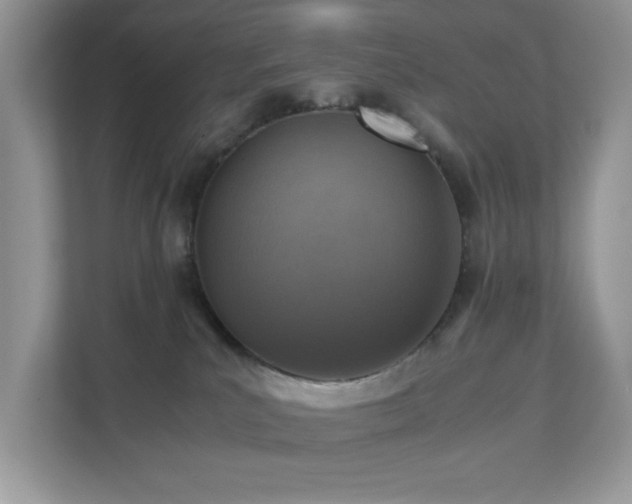 X0000110730039200906121457