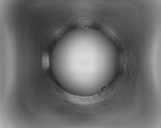 X0000110730042200906121457