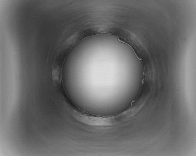 X0000110730044200906121457