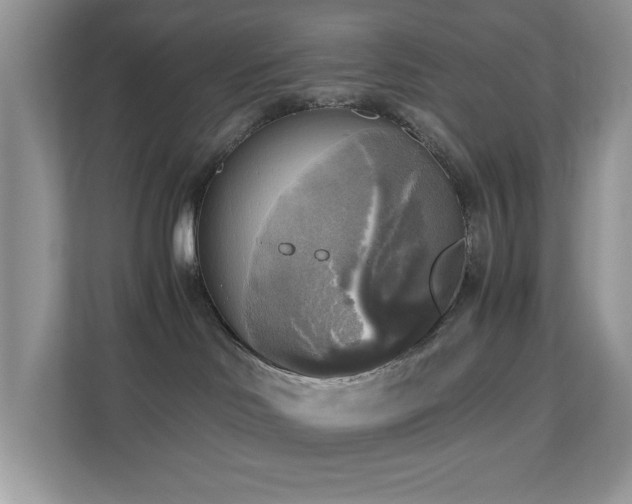 X0000110730046200906121457