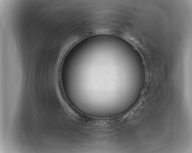 X0000110730049200906121456