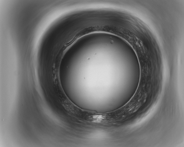X0000110730050200906121456