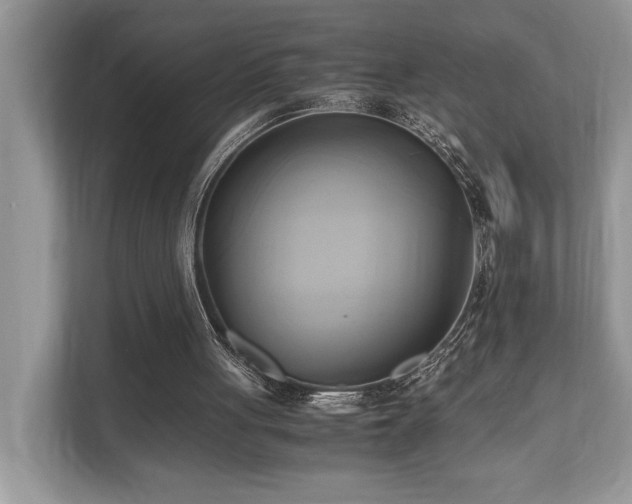 X0000110730051200906121456