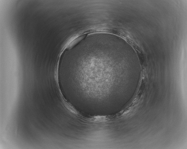 X0000110730052200906121456