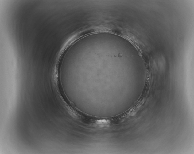 X0000110730053200906121456
