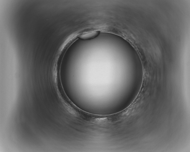 X0000110730054200906121456